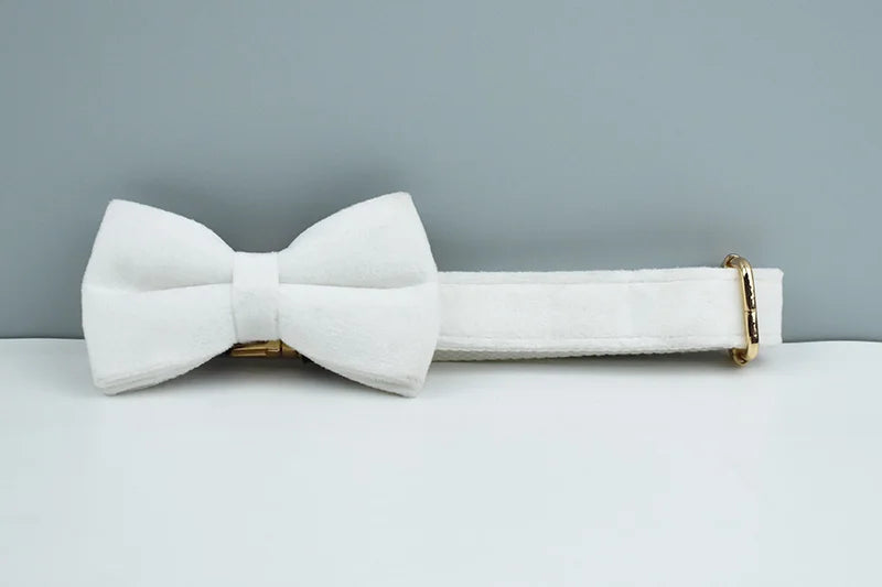 White Velvet Personalized Dog Collar, Leash & Harness Set