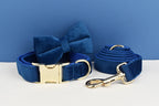 Blue Velvet Personalized Dog Collar, Leash & Harness Set