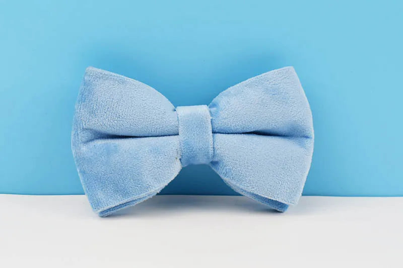 Blue Velvet Personalized Dog Collar, Leash & Harness Set