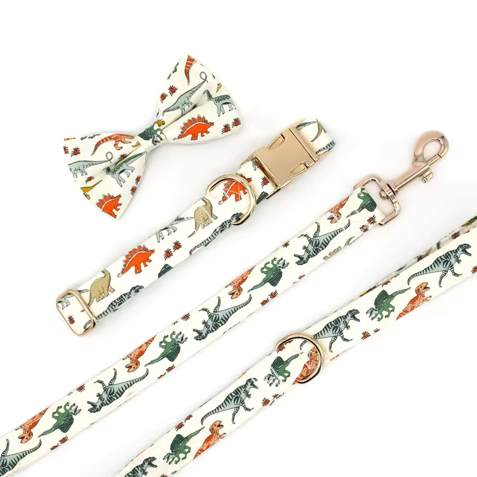 Dinosaur Dog Collar and Leash Set