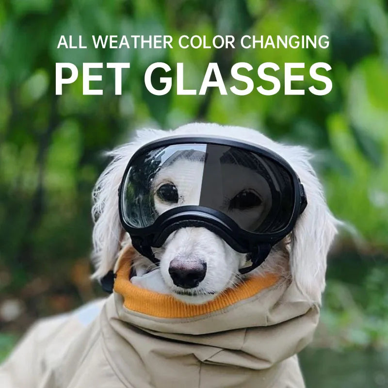 Color-Changing Dog Sunglasses – UV-Resistant Goggles for Outdoor Protection