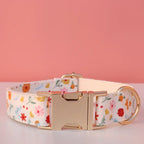 Floral Print Collar Leash Set