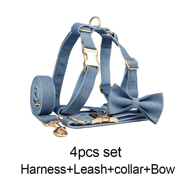 Personalized Dog Collar, Leash & Harness Set