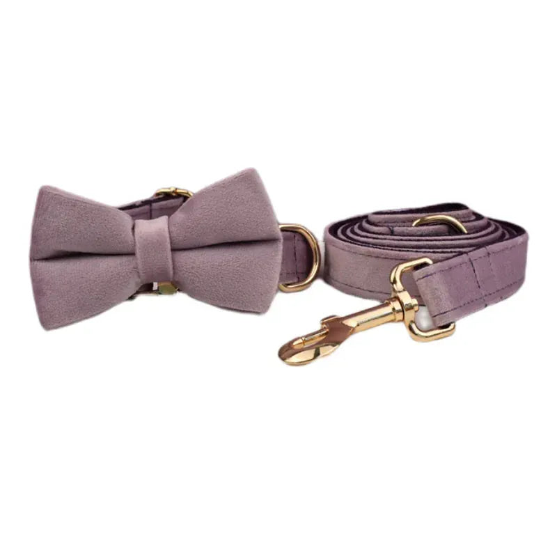 DDPaws  Collar + Leash + Bowtie / XS Deep Purple Velvet Set