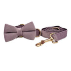 DDPaws  Collar + Leash + Bowtie / XS Deep Purple Velvet Set