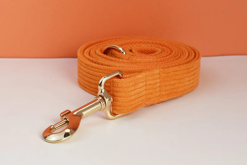 Orange Corduroy Personalized Dog Collar, Leash & Harness Set