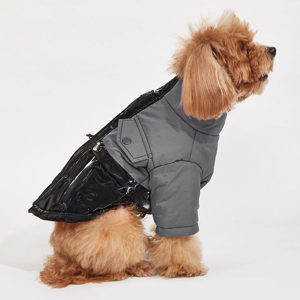 Winter Dog Jacket – Windproof, Cold-Resistant Coat for Small & Medium Dogs