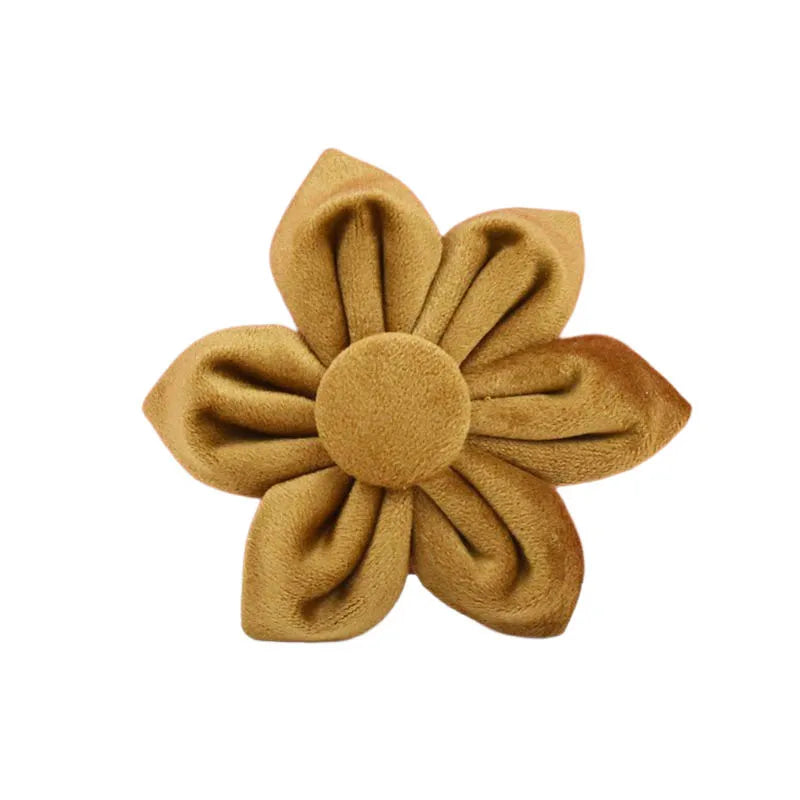 Light Coffee Color Velvet Personalized Dog Collar, Leash & Harness Set