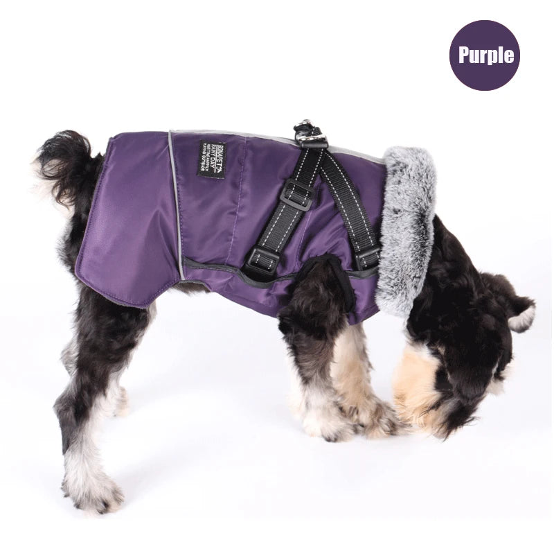 Winter Dog Jacket with Harness – Waterproof, Windproof Coat for Small & Medium Dogs