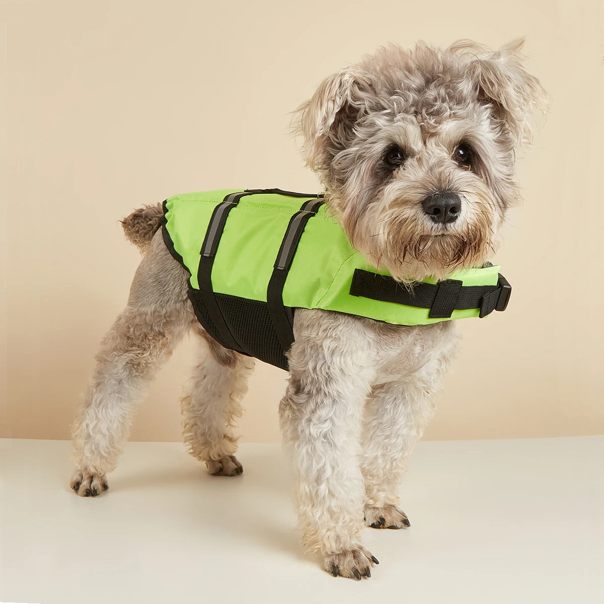 Reflective Dog Life Jacket – Adjustable Buoyancy Vest for Swimming, Boating & Surfing (All Sizes)