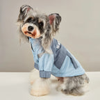 Reflective Waterproof Dog Jacket – Warm Winter Coat for Small & Medium Dogs