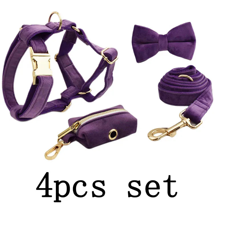 Purple Velvet Personalized Dog Collar, Leash & Harness Set