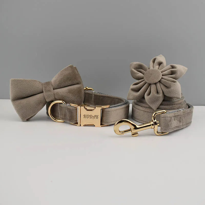 Light grey Velvet Personalized Dog Collar, Leash & Harness Set
