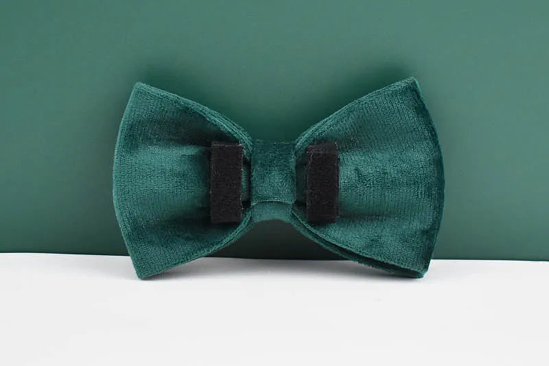 Green Velvet Personalized Dog Collar, Leash & Harness Set