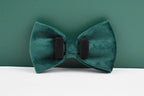 Green Velvet Personalized Dog Collar, Leash & Harness Set