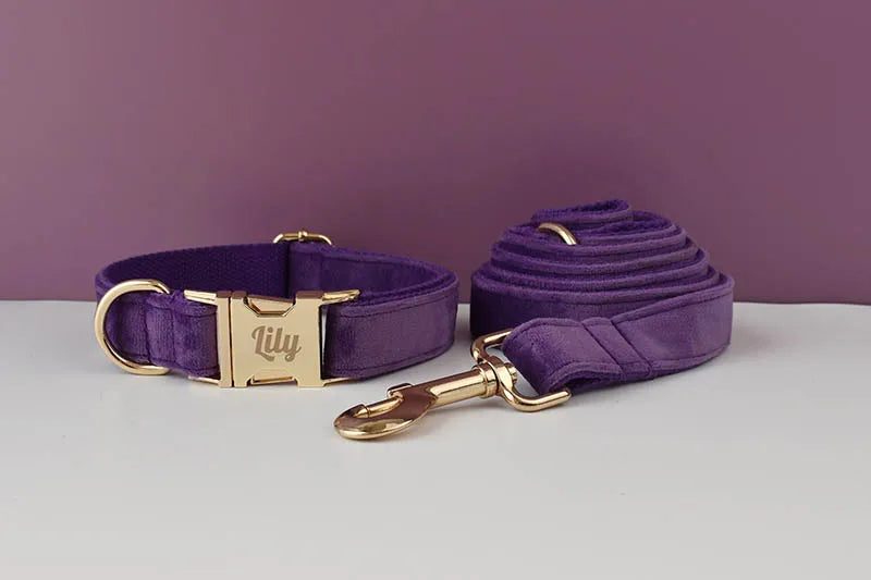 Purple Velvet Personalized Dog Collar, Leash & Harness Set