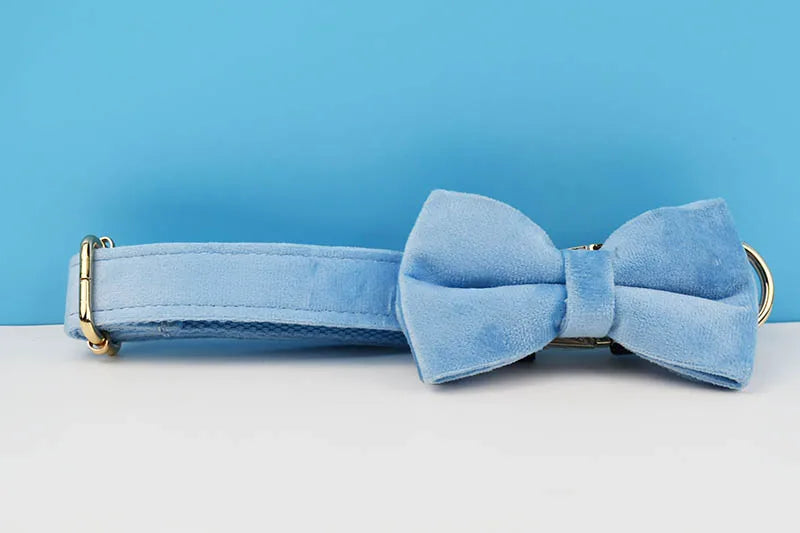 Blue Velvet Personalized Dog Collar, Leash & Harness Set
