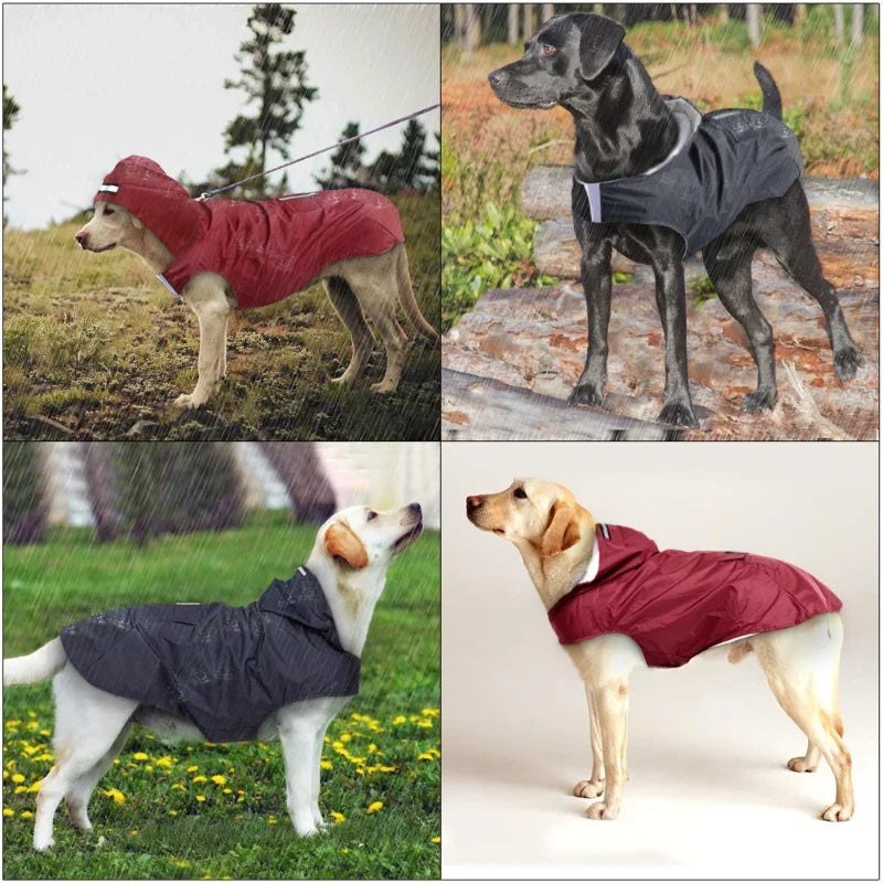 Waterproof Dog Raincoat with Reflective Stripe – Lightweight Hooded Poncho for All Seasons