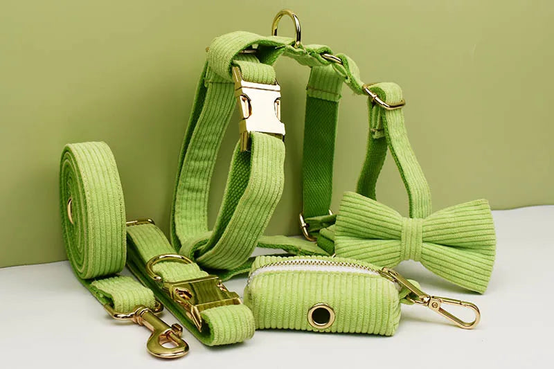 Apple Fruit Green Corduroy Personalized Dog Collar, Leash & Harness Set