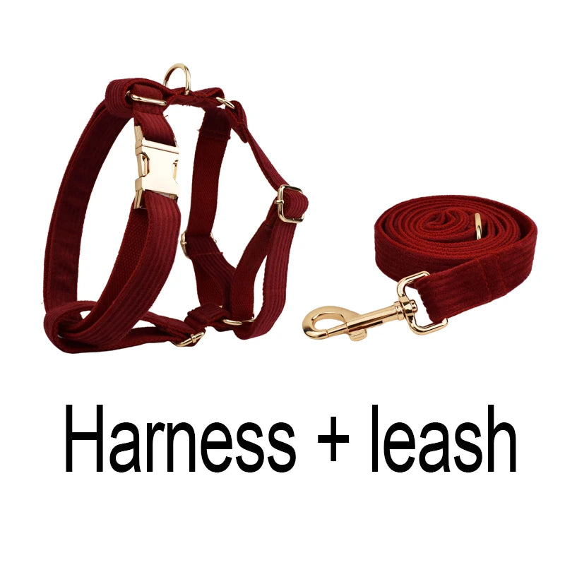 Personalized Dog Collar, Leash & Harness Set
