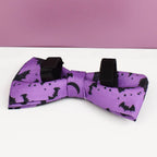 Violet Personalized Dog Collar, Leash & Harness Set