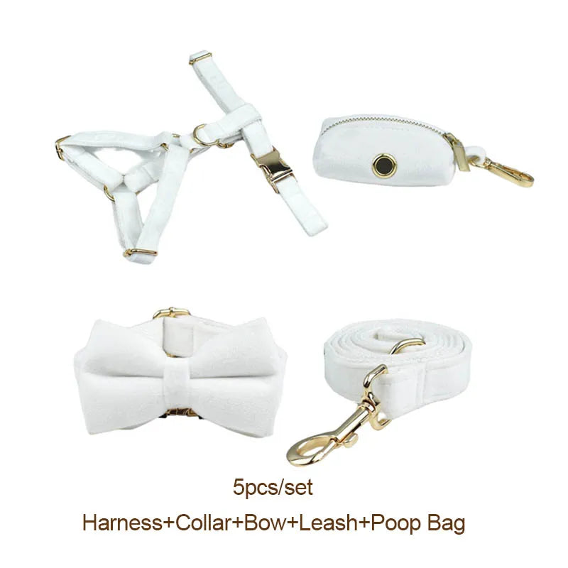 White Velvet Personalized Dog Collar, Leash & Harness Set