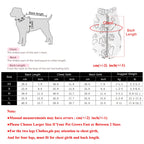 Fleece Winter Dog Jacket – Warm Adjustable Vest with D-Ring for Small Dogs