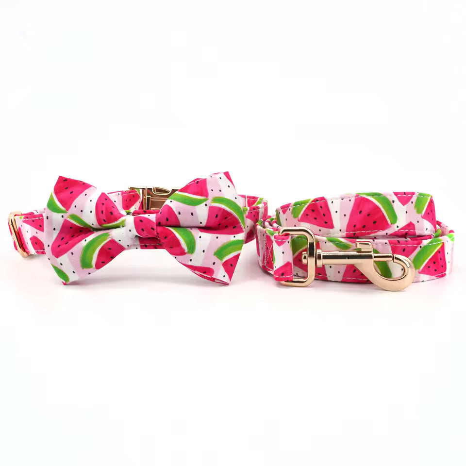 Watermelon Dog Collar and Leash Set