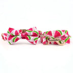 Watermelon Dog Collar and Leash Set
