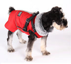 Winter Dog Jacket with Harness – Waterproof, Windproof Coat for Small & Medium Dogs