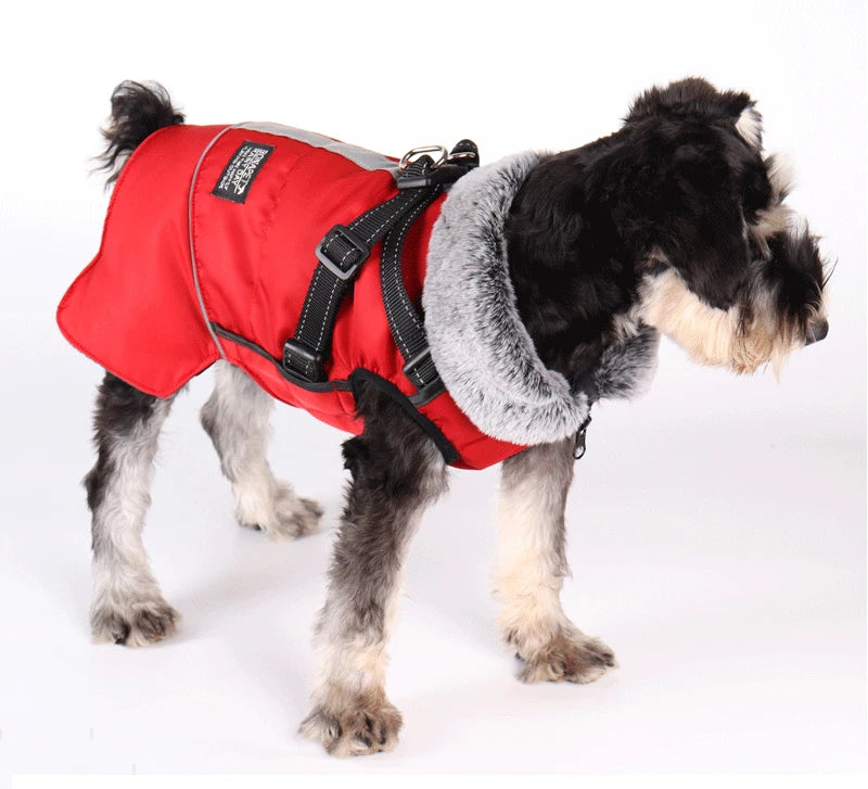 Winter Dog Jacket with Harness – Waterproof, Windproof Coat for Small & Medium Dogs