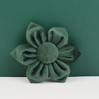 Velvet Personalized Dog Collar, Leash & Harness Set