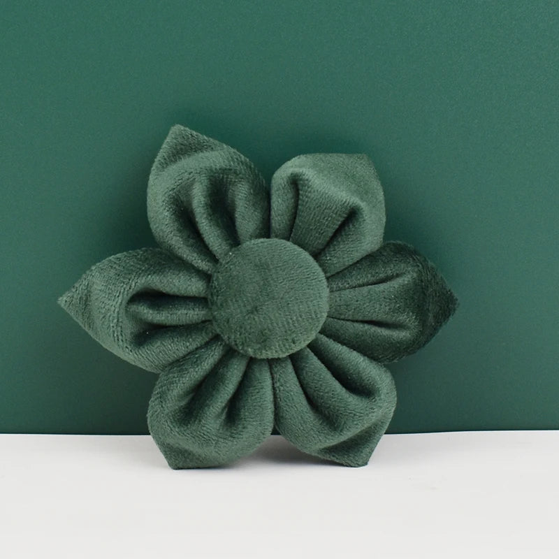 Velvet Personalized Dog Collar, Leash & Harness Set