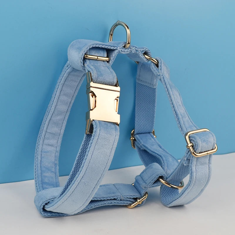 Blue Velvet Personalized Dog Collar, Leash & Harness Set