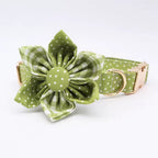 Green Polka Dot Floral Dog Collar and Leash Set