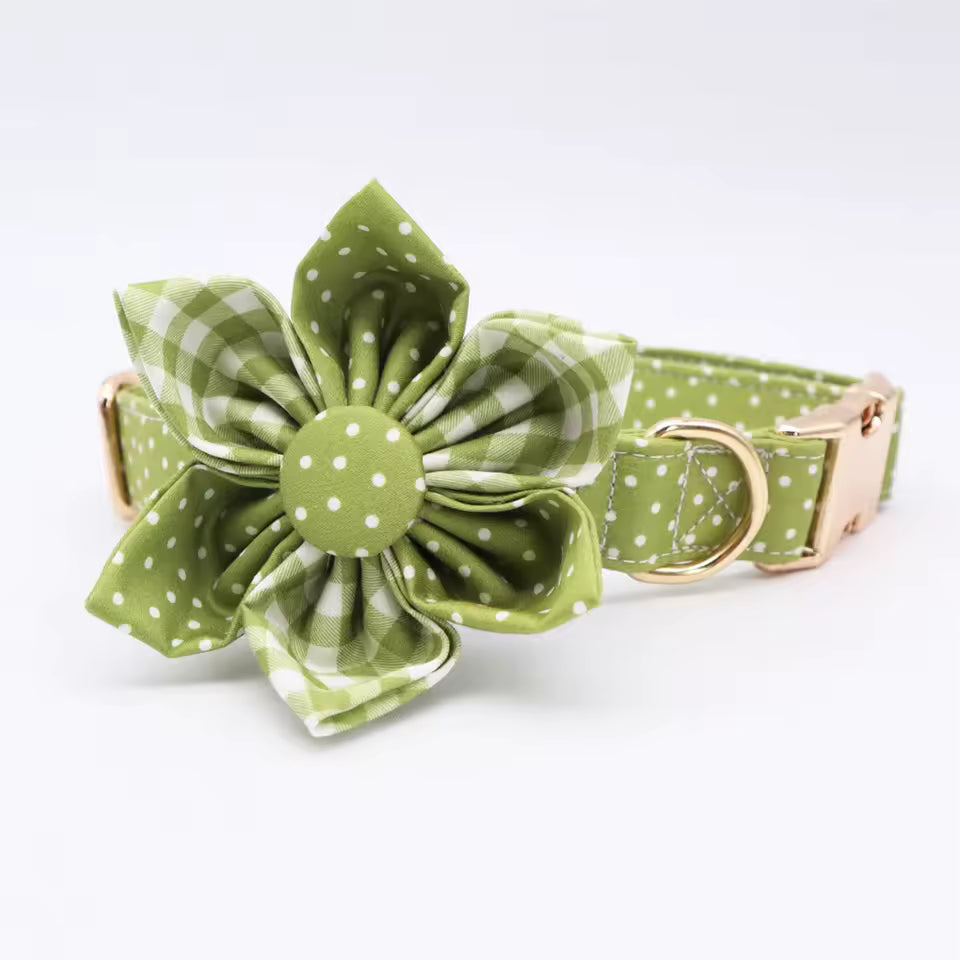 Green Polka Dot Floral Dog Collar and Leash Set