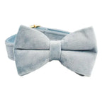 DDPaws  Bowtie Collar / XS Dusty Blue Velvet Set
