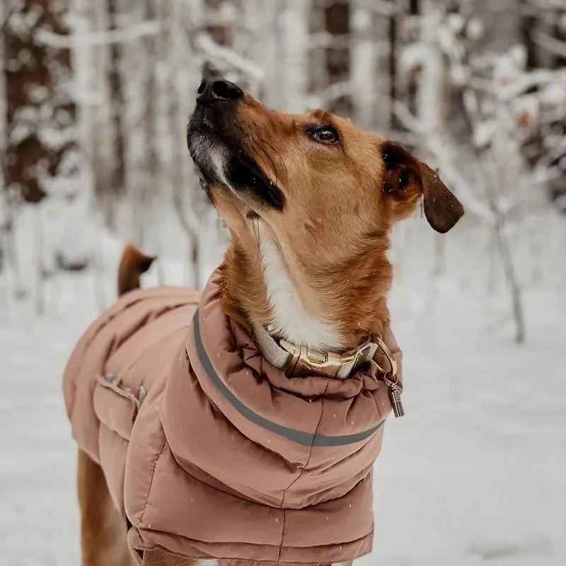 Waterproof Warm Dog Winter Coat – Thick Fleece Down Jacket for Small to Large Pets