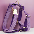 Purple Corduroy Dog Collar Leash and Harness Set
