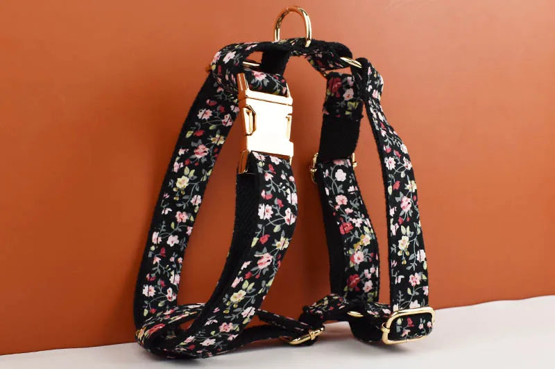 Personalized Dog Collar, Leash & Harness Set
