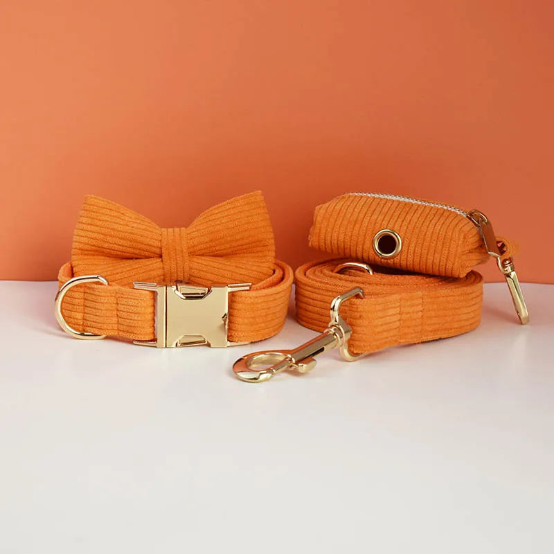 Orange Corduroy Personalized Dog Collar, Leash & Harness Set