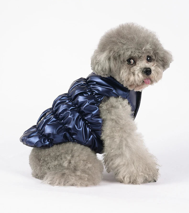 Winter Down Dog Jacket – Windproof Padded Coat for Small & Medium Dogs