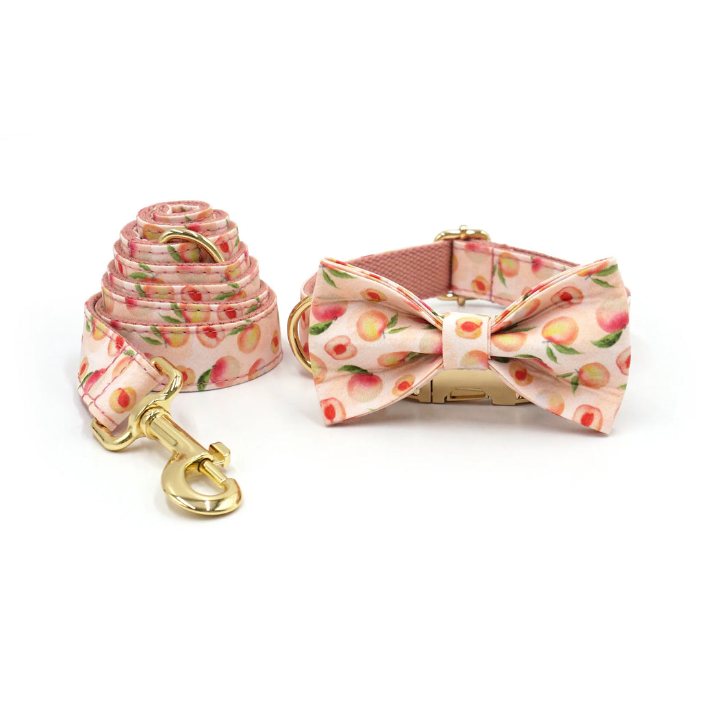Summer Fruit Personalized Dog Bowtie Collar and Leash Set, Custom Laser Pet Necklace, Cute Pet Accessory