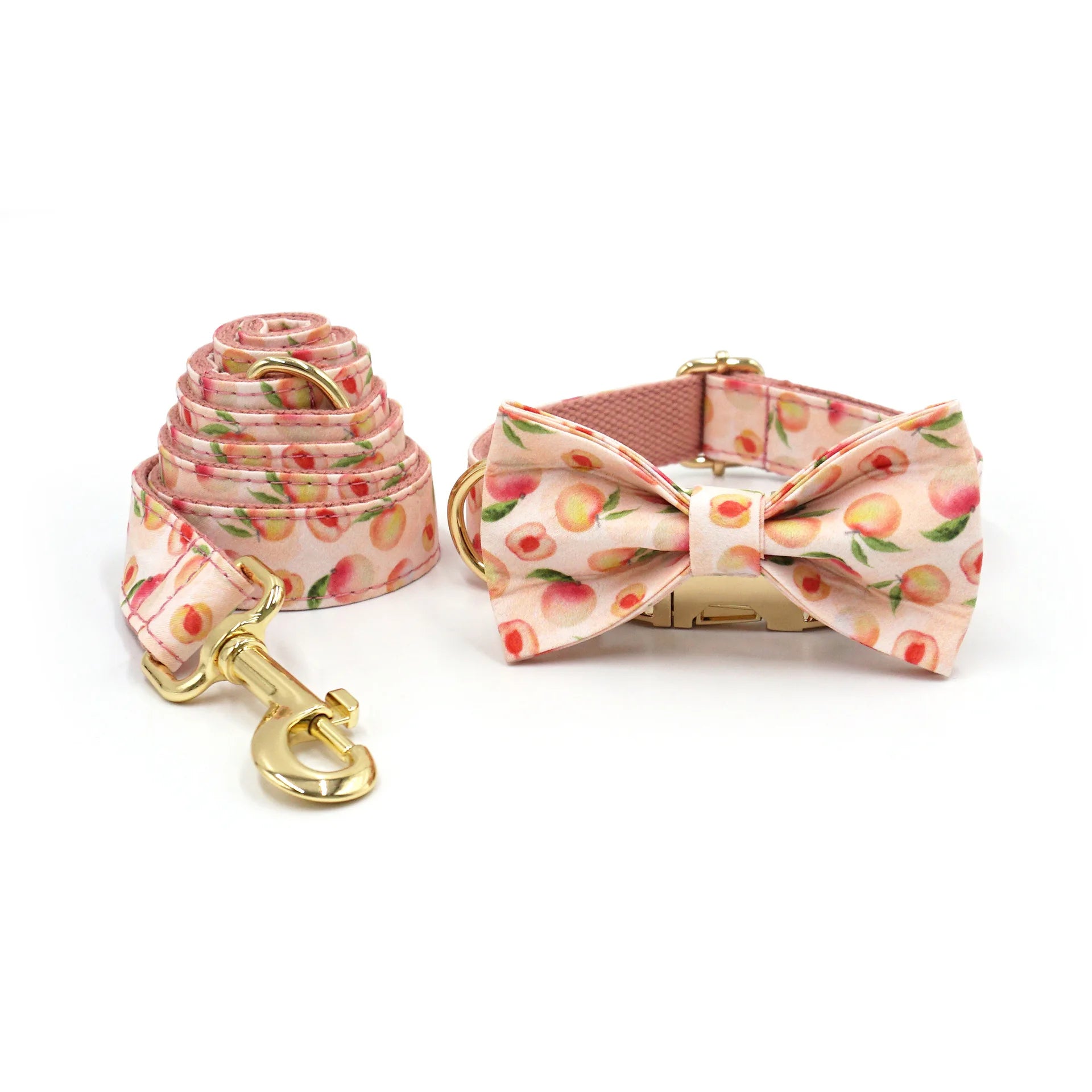 Summer Fruit Personalized Dog Bowtie Collar and Leash Set, Custom Laser Pet Necklace, Cute Pet Accessory