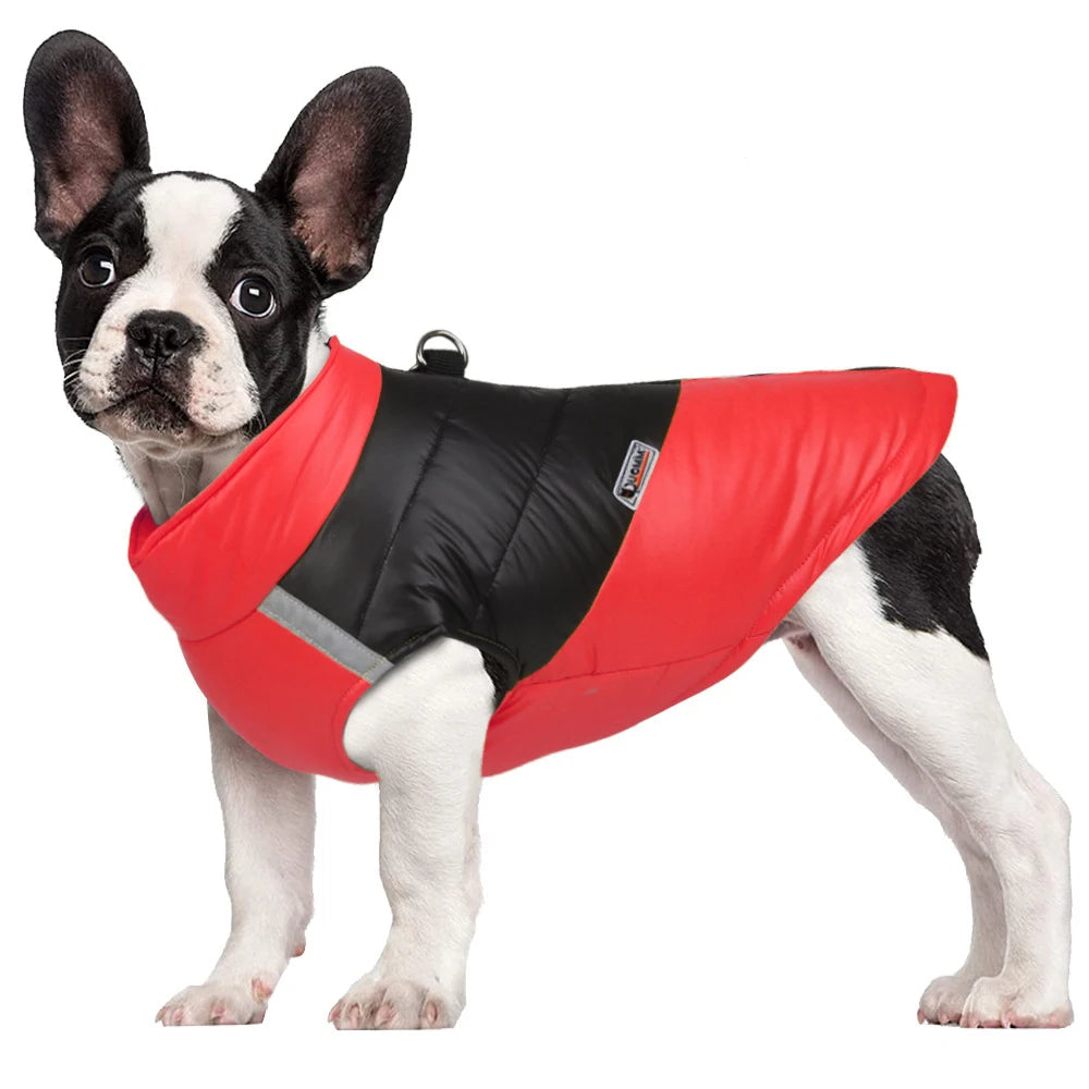 Waterproof Winter Dog Vest – Warm, Padded Coat for Small & Large Breeds