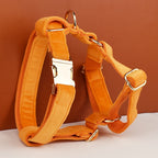 Orange Velvet Personalized Dog Collar, Leash & Harness Set