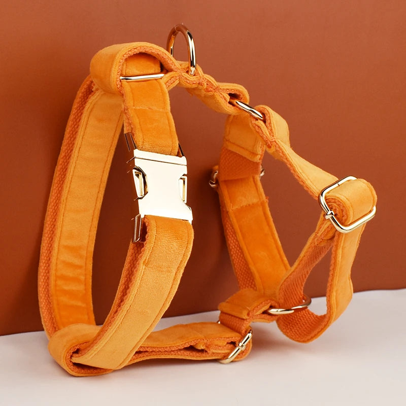 Orange Velvet Personalized Dog Collar, Leash & Harness Set