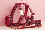 Christmas Personalized Dog Collar, Leash & Harness Set