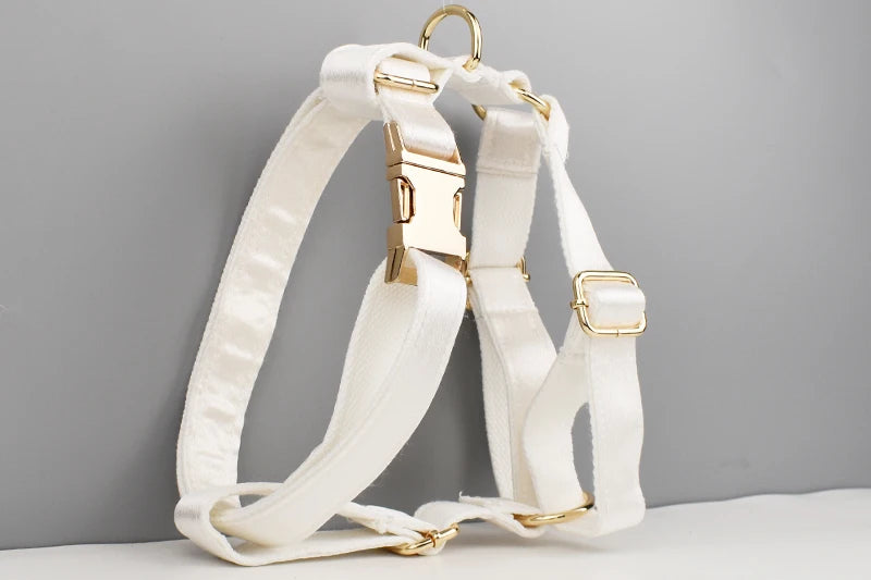 White Personalized Dog Collar, Leash & Harness Set