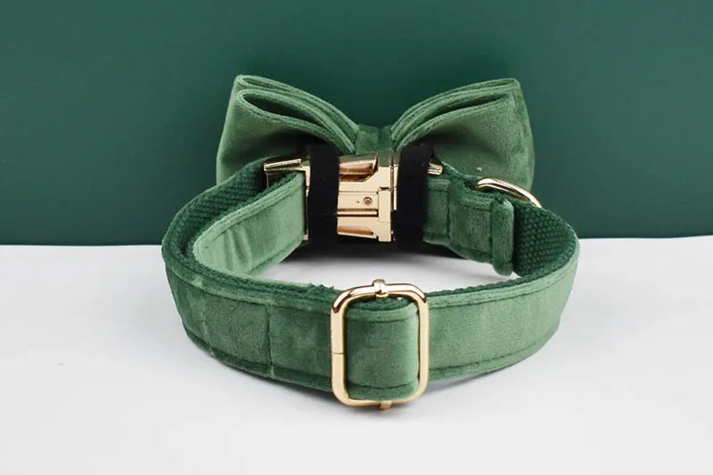 Forest Green Velvet Personalized Dog Collar, Leash & Harness Set